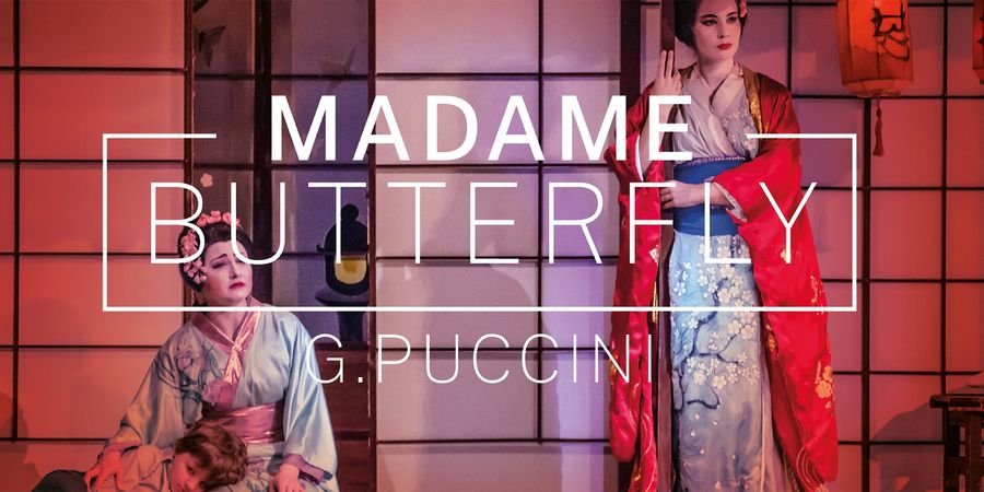 image - Madame Butterfly