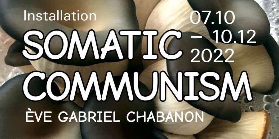 image - Installation Somatic Communism - Ève Gabriel Chabanon