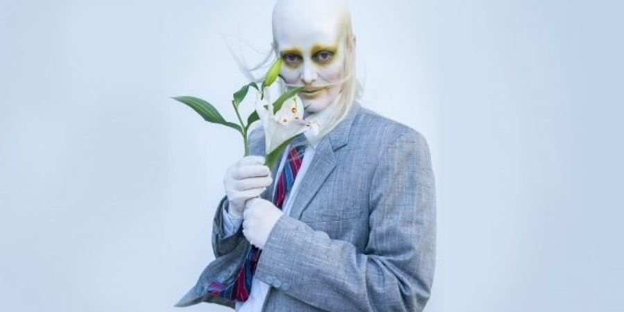 image - FEVER RAY