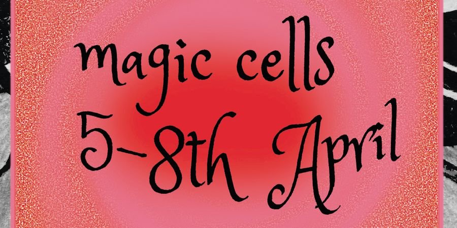 image - Bâtard Festival 2023 part one: Magic Cells