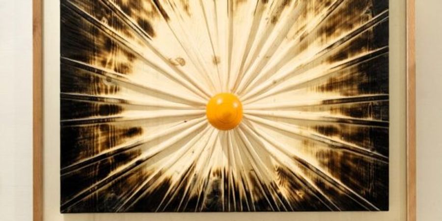 image - Histoires sous les doigts : les arbres