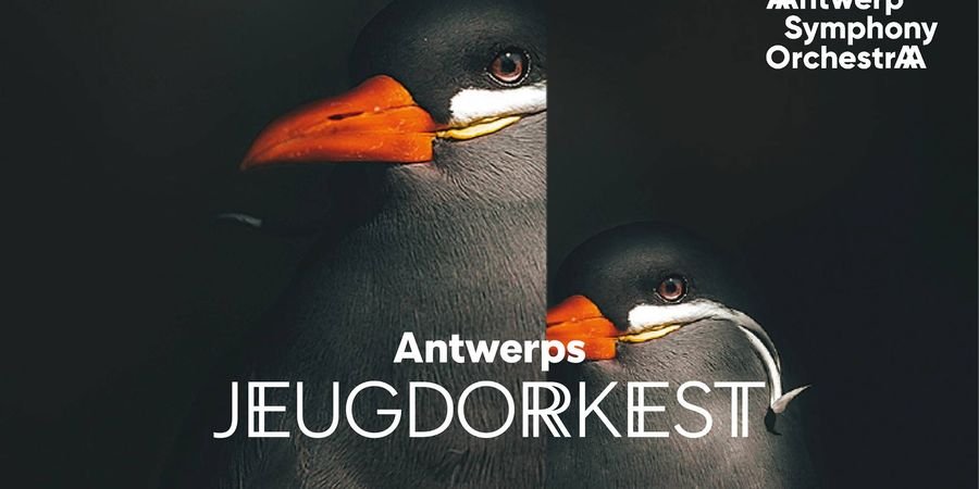 image - Antwerps Jeugdorkest