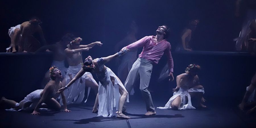 image - Giselle(s)