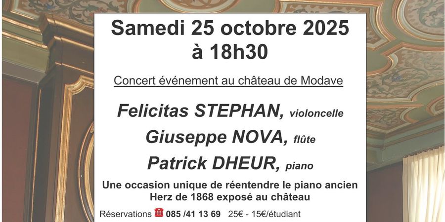 image - concert au château de Modave