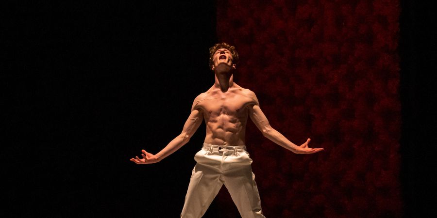 image - Roméo + Juliette | Europa Danse Company