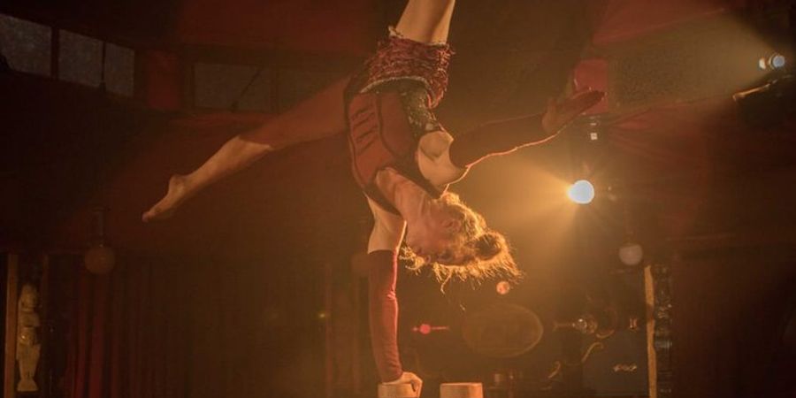 image - The Amazing Katleen - Circ Rodini