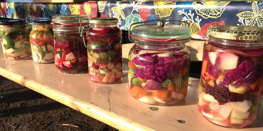 image - Lactofermentation, conservez vos aliments