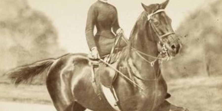 image - Le passé hippique exceptionnel de Spa