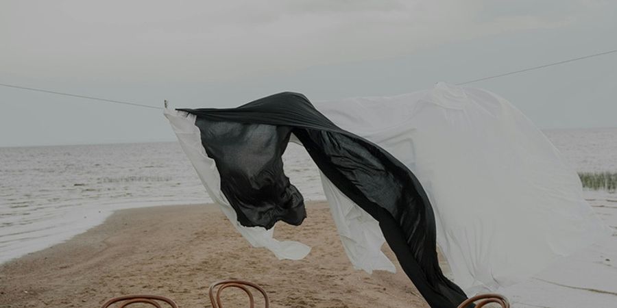 image - La Mouette