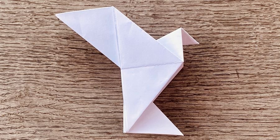 image - Des origamis pour soutenir l'Hôpital Erasme