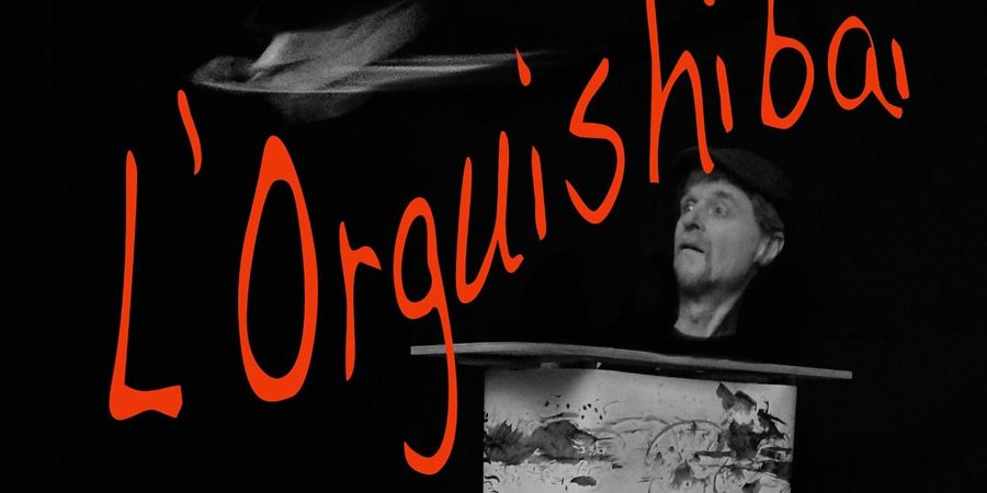 image - Dit is geen vlieg!