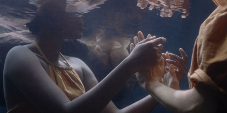 image - Echo(e)s
