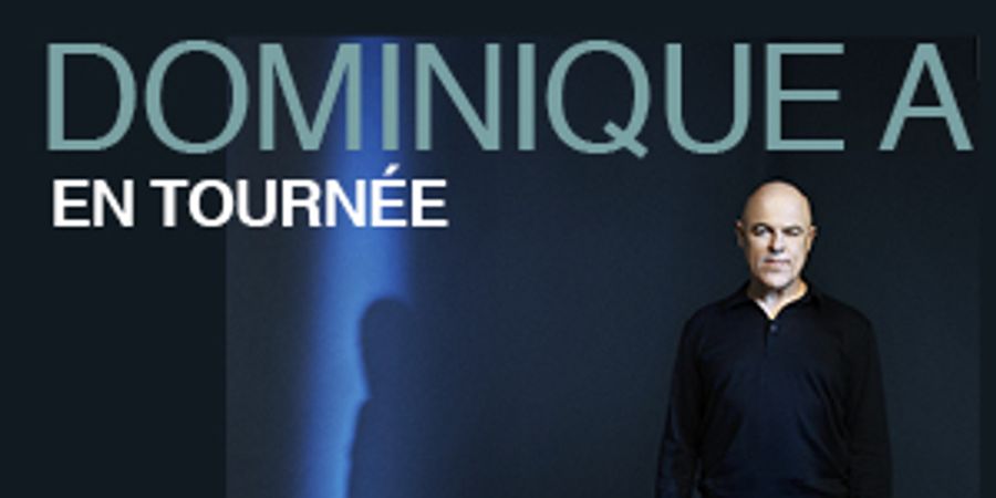 image - Dominique A
