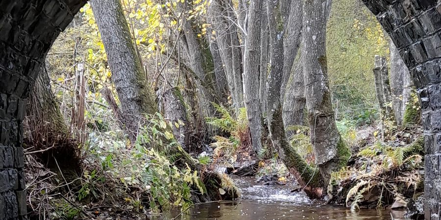 image - Par Ponts et par Vaux - 2 parcours guidés - Journées Wallonnes de l'Eau 2025