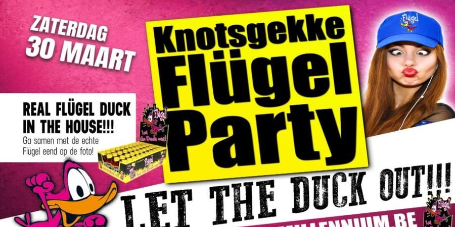 image - Knotsgekke Flügel Party