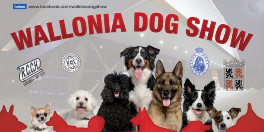 image - Wallonia Dog Show