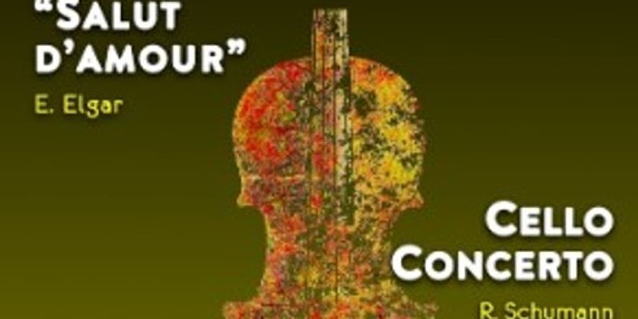 image - Brussels Philharmonic Orchestra's Sint Valentin Concert