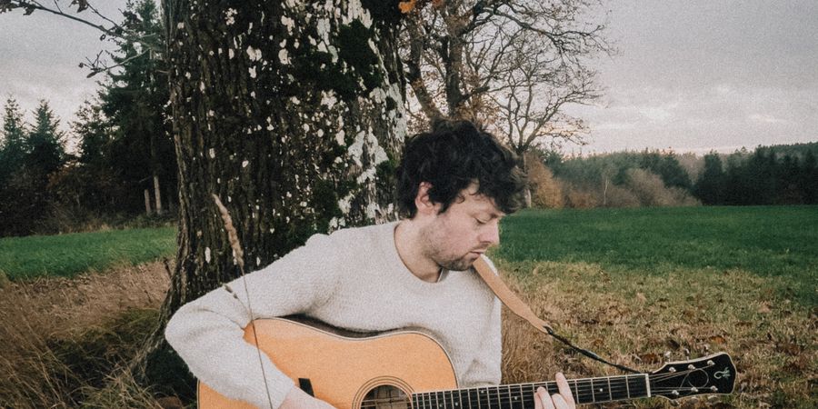 image - Désespoir des Singes en concert intimiste