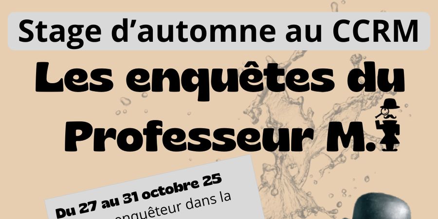 image - Les Enquêtes du Professeur M.
