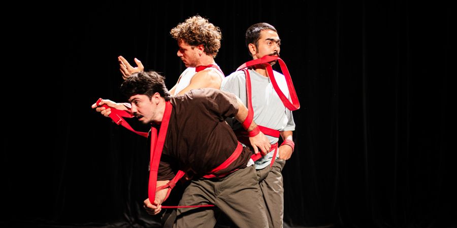 image - Le Témoignage de la Chimère