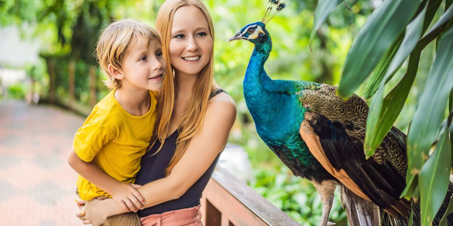 Découvrez les parcs animaliers