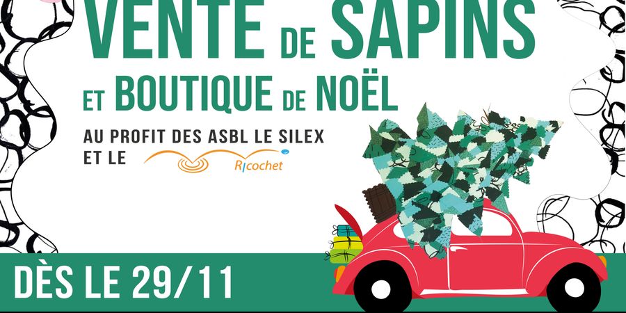 image - Opération « Sapins et Boutique de Noël »