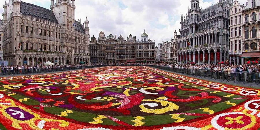 image - Flower Carpet 2022