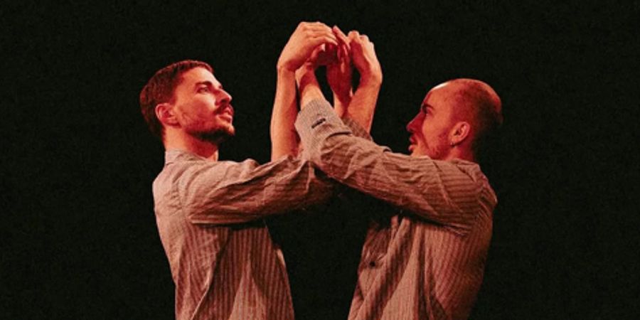 image - Brothers - Sem Deliveyne / Cie Threading Theatre (NL)