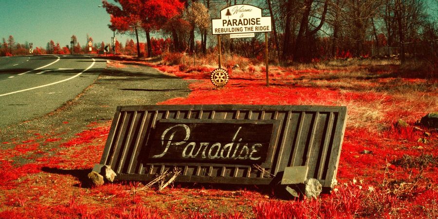 image - Paradise - Maxime Riché
