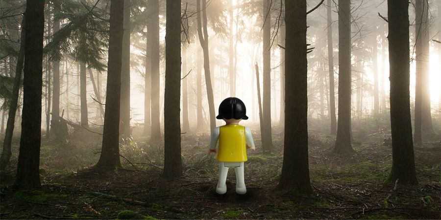 image - Le Silence de Claire Lagrange (Céline Delbecq / Compagnie La Bête Noire)