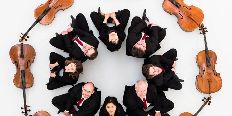 image - LES VIOLONCELLES À L’OPÉRA