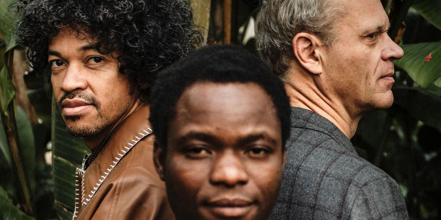 image - Trio Ibiyewa