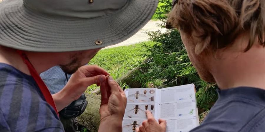 image - Bioblitz in het Tournay-Solvaypark