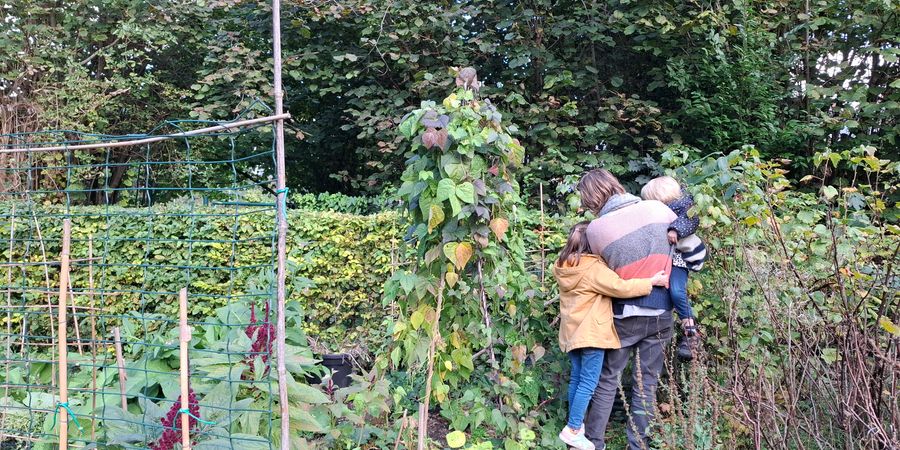 image - Balade Potager n°1