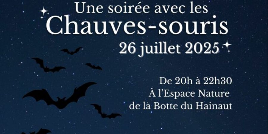 image - Une soirée avec les chauves-souris