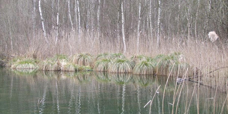 image - Découverte des étangs de Stavelot