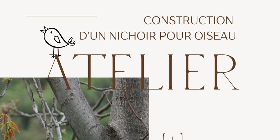 image - Construction d'un nichoir pour oiseau