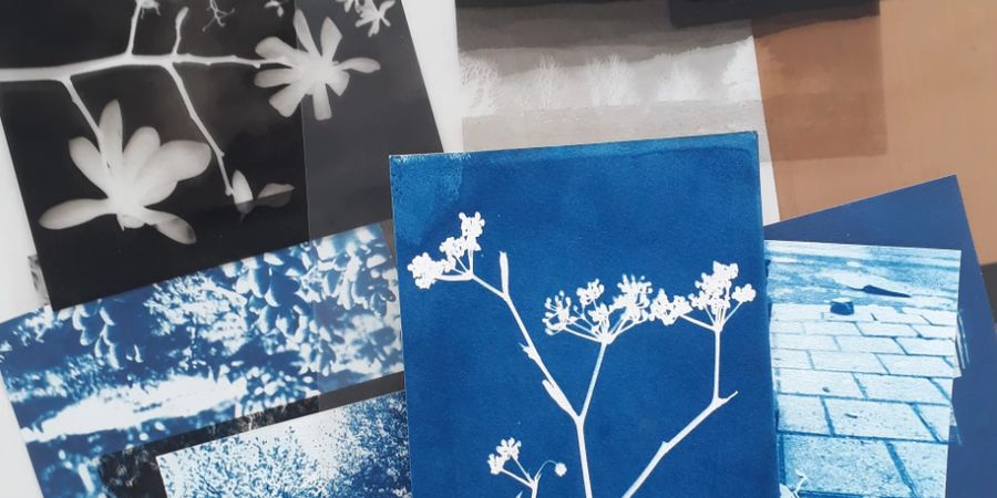 image - Mercredi créatif : Cyanotype