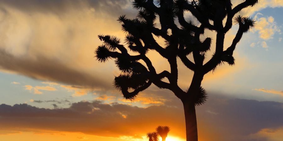 image - Document-Terre : Californie, sur la route d'un mythe