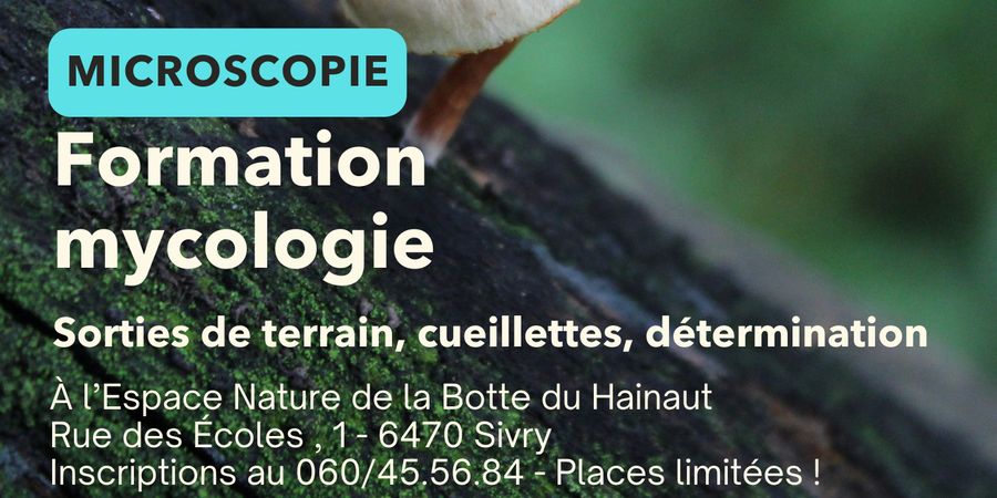 image - Mycologie : formation microscopie 2026