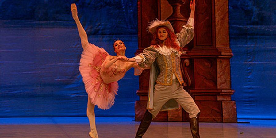 image - BALLET DREAM GALA