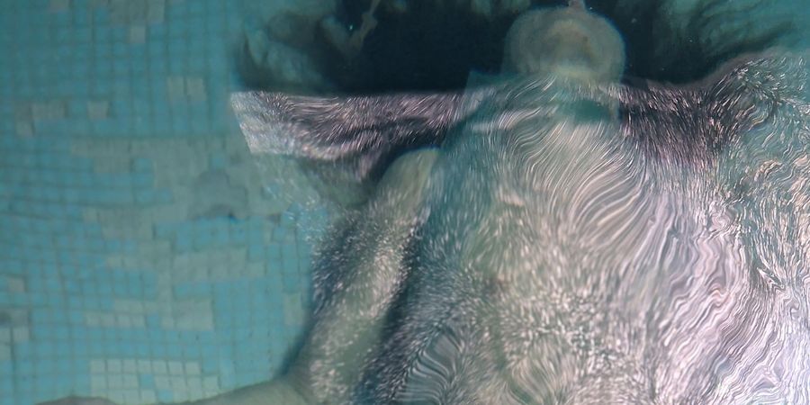 image - Ophelia-S de Cie Mossoux-Bonté