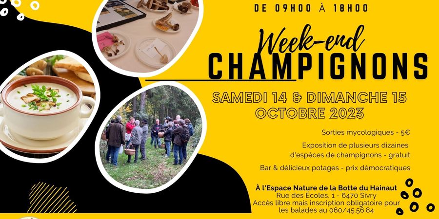 image - Week-end champignons 2023