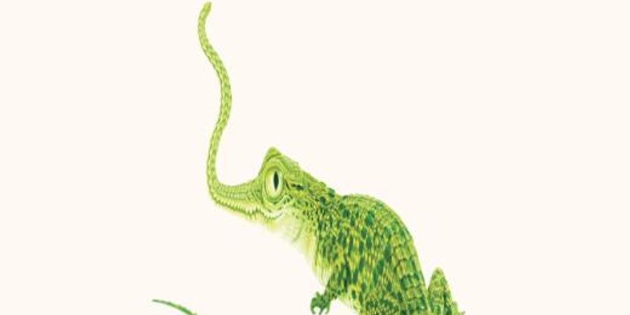 image - Happy Time | Next Opera Days