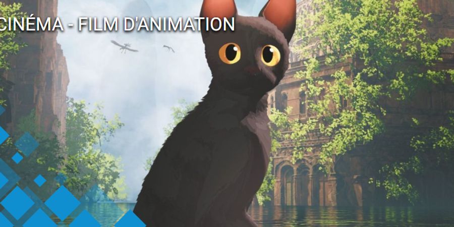 image - CINÉMA EN PLEIN AIR - Flow