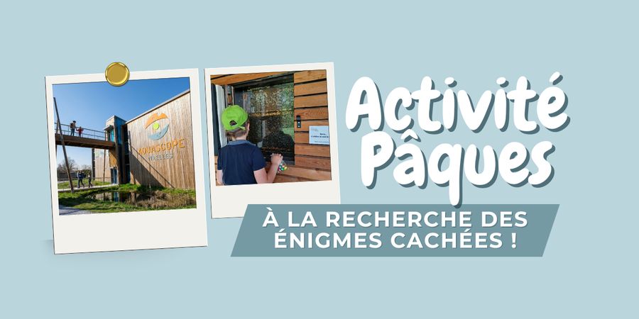 image - Activité de Pâques : à la recherche des énigmes cachées !