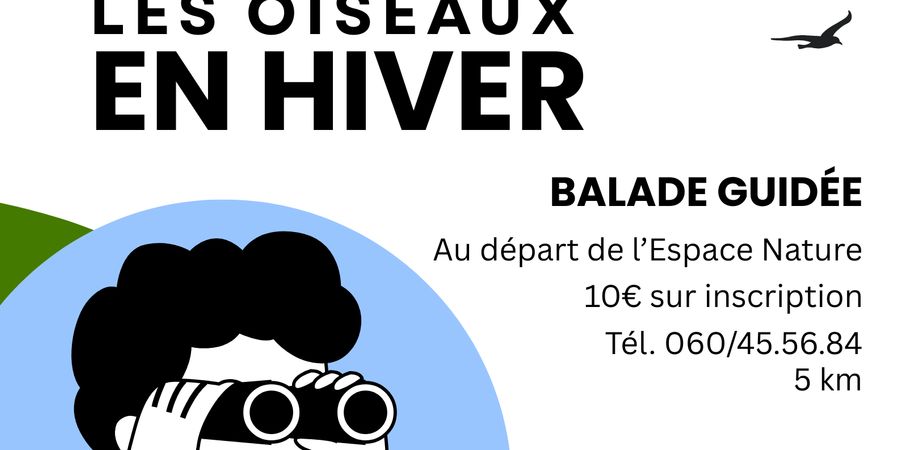 image - Les oiseaux en hiver