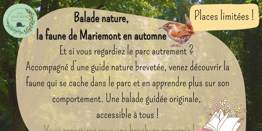 image - Balade le parc de Mariemont en automne