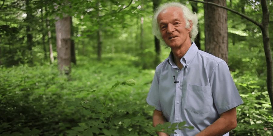 image - De l'eau & des arbres. Les pouvoirs de la forêt. - séance 2/3 des Lundis de la forêt et du bois