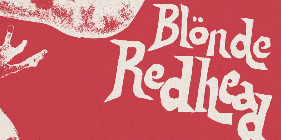 image - Blonde Redhead - Núria Graham